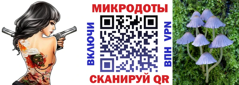 купить закладку  Отрадная  Галлюциногенные грибы Magic Shrooms 