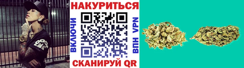 Бошки марихуана SATIVA & INDICA  ОМГ ОМГ ТОР  Отрадная 